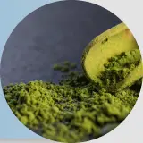 خلاصة الطحالب البحرية